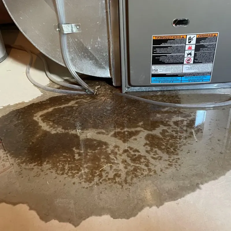 Pipe Burst and Leak Restoration in Fairfield, ID