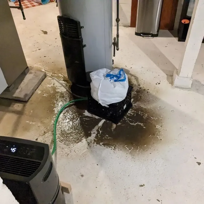 Sewage Backup Cleanup Service in Fairfield, ID